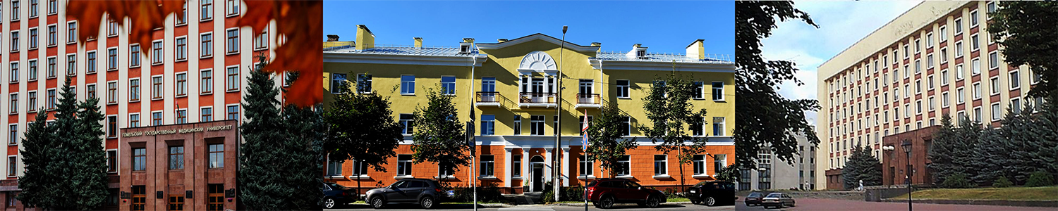 1768188914410340.png 合图处理.png